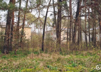 На Волині поліція розслідує передачу 8,6 га землі під Луцьком родинній фірмі нардепа Палиці