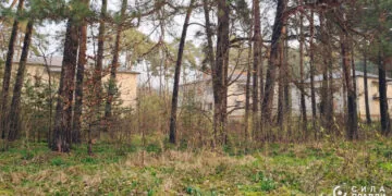 На Волині поліція розслідує передачу 8,6 га землі під Луцьком родинній фірмі нардепа Палиці