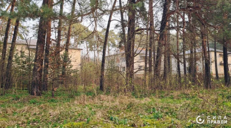 На Волині поліція розслідує передачу 8,6 га землі під Луцьком родинній фірмі нардепа Палиці