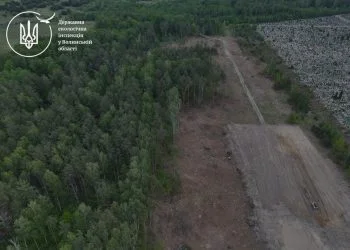 На Волині виявили незаконну вирубку дерев на понад 16,5 мільйонів гривень - у Ковельському районі