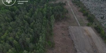 На Волині виявили незаконну вирубку дерев на понад 16,5 мільйонів гривень - у Ковельському районі
