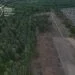 На Волині виявили незаконну вирубку дерев на понад 16,5 мільйонів гривень - у Ковельському районі
