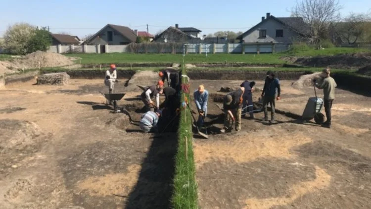Поліція розслідує службову недбалість директора ліцею у Володимирі та вартість археологічних робіт у Володимирі біля ліцею імені О. Цинкаловського