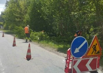 Робітники зрізають кущі обіч дороги. Роботи з утримання дороги