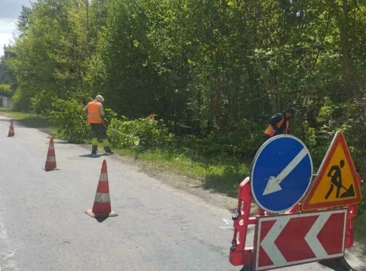 Робітники зрізають кущі обіч дороги. Роботи з утримання дороги