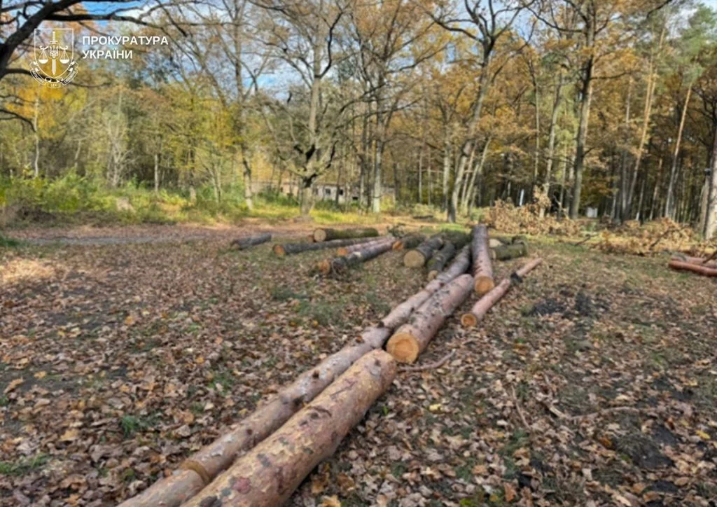 На Волині повідомлено про підозру екслісничому, який організував незаконну рубку на дерев на 1,9 млн грн