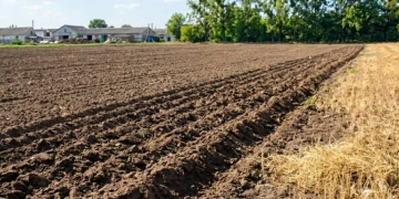 Дві волинські компанії оштрафували на 1,4 мільйона гривень за змову на земельних аукціонах