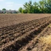 Дві волинські компанії оштрафували на 1,4 мільйона гривень за змову на земельних аукціонах