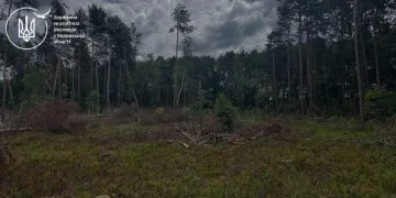 На території Буцинського лісництва - виявлено незаконну порубку 193 дерев