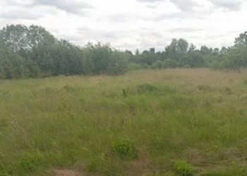 На Волині селищна рада здала в оренду два гектари поля за другим разом