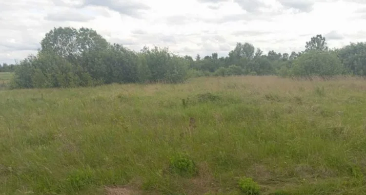 На Волині селищна рада здала в оренду два гектари поля за другим разом