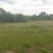 На Волині селищна рада здала в оренду два гектари поля за другим разом