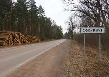 Рубка в Сокиричах