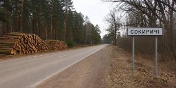 Рубка в Сокиричах