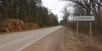Рубка в Сокиричах