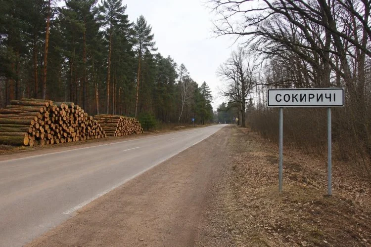 Рубка в Сокиричах