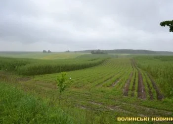 Прокуратура оскаржує в суді договір оренди майже 70 гектарів землі, що належить Литовезькій громаді Володимирського району. На думку правоохоронців, ділянку незаконно передали в суборенду компанії «Салікс Енерджі».
