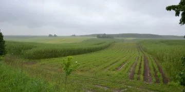 Прокуратура оскаржує в суді договір оренди майже 70 гектарів землі, що належить Литовезькій громаді Володимирського району. На думку правоохоронців, ділянку незаконно передали в суборенду компанії «Салікс Енерджі».