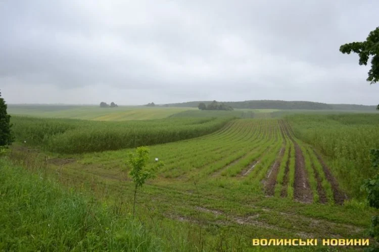 Прокуратура оскаржує в суді договір оренди майже 70 гектарів землі, що належить Литовезькій громаді Володимирського району. На думку правоохоронців, ділянку незаконно передали в суборенду компанії «Салікс Енерджі».