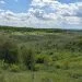 самозаліснена земля