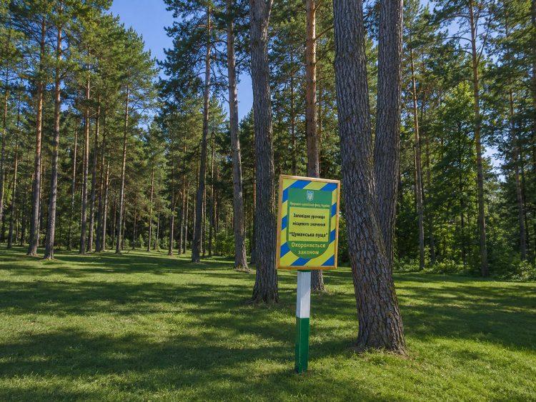 Знак «Заповідне урочище «Цуманська пуща»