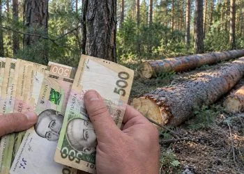 Штраф за дві сосни
