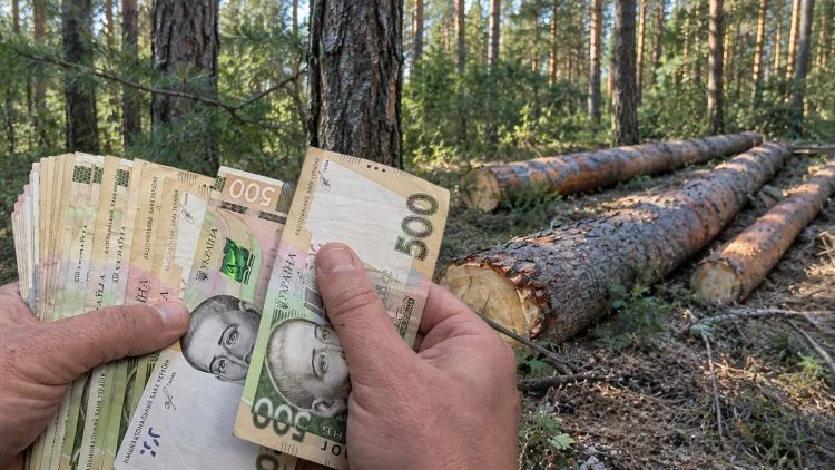 Штраф за дві сосни